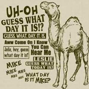 juliasandoval_2 avatar