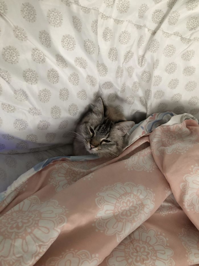 Stole My Spot When I Took A Phone Call And Looks Real Smug About It