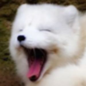 jocelyngleason_1 avatar