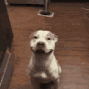 anamartinez_1 avatar