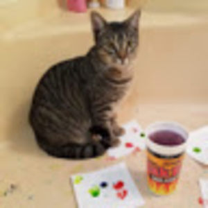 shelbytidwell avatar