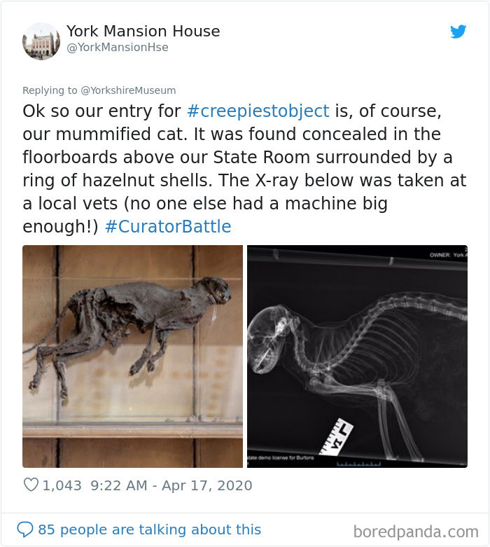 Creepiest-Objects-Curator-Battle-Yorkshire-Museum