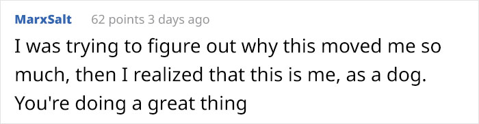 Timid Pup Comes Up With A Super Cute Way To Ask His Foster Parents For More Scratchies And Love Timid Pup Comes Up With A Super Cute Way To Ask His Foster Parents For More Scratchies And Love