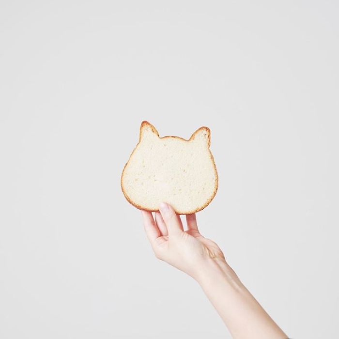 Japanese Bakery Makes Cat-Shaped Breads And They're Just Too Adorable Japanese Bakery Makes Cat-Shaped Breads And They're Just Too Adorable