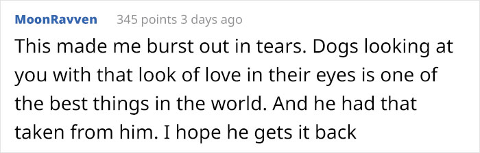 Timid Pup Comes Up With A Super Cute Way To Ask His Foster Parents For More Scratchies And Love