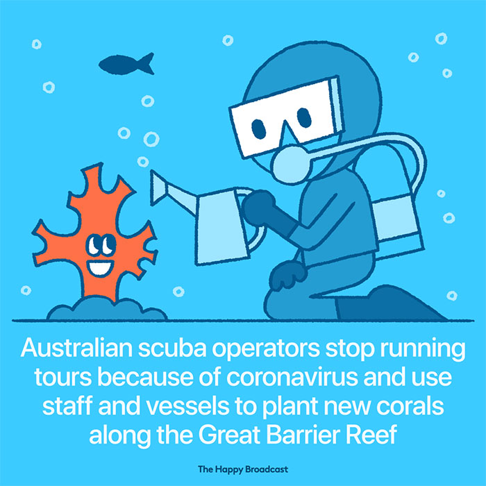 I’m Honestly Fed Up With All The Bad News, So I Illustrated 13 Of The Best Ones About The Coronavirus Situation