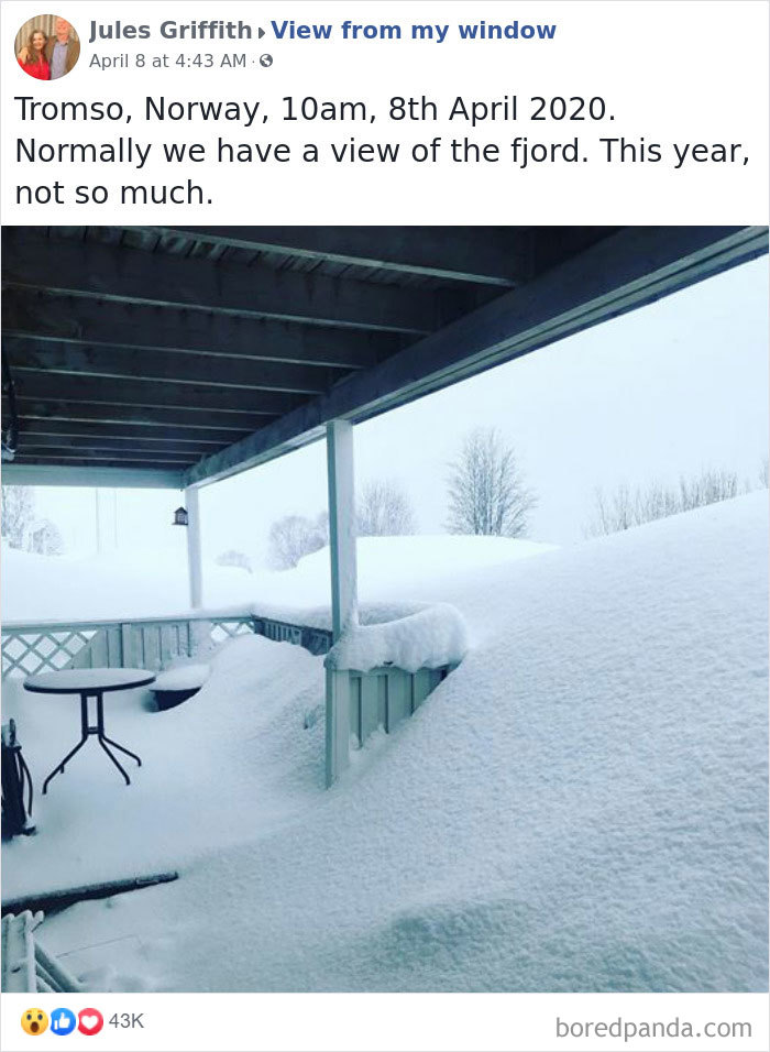 Outside-My-Window-Pics