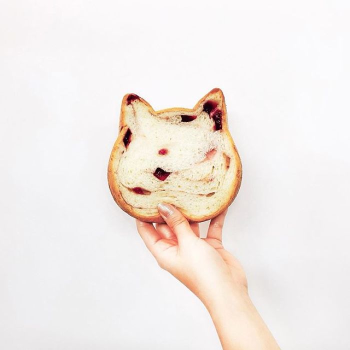 Japanese Bakery Makes Cat-Shaped Breads And They're Just Too Adorable Japanese Bakery Makes Cat-Shaped Breads And They're Just Too Adorable