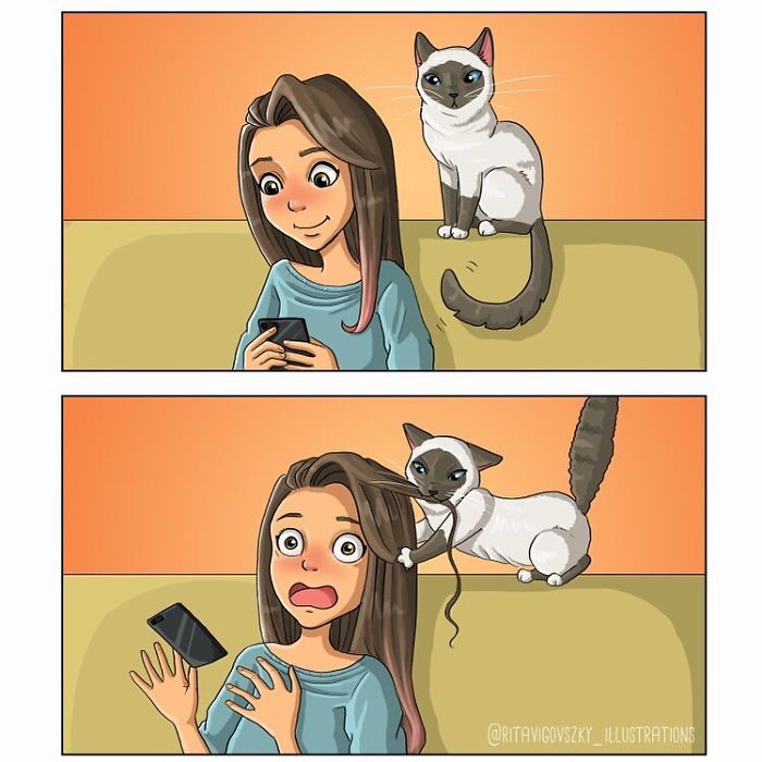 Artist Illustrates His Everyday Life With His Cats And Shows That They Are More Than Companions