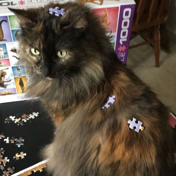 First Puzzle Of The Quarantine