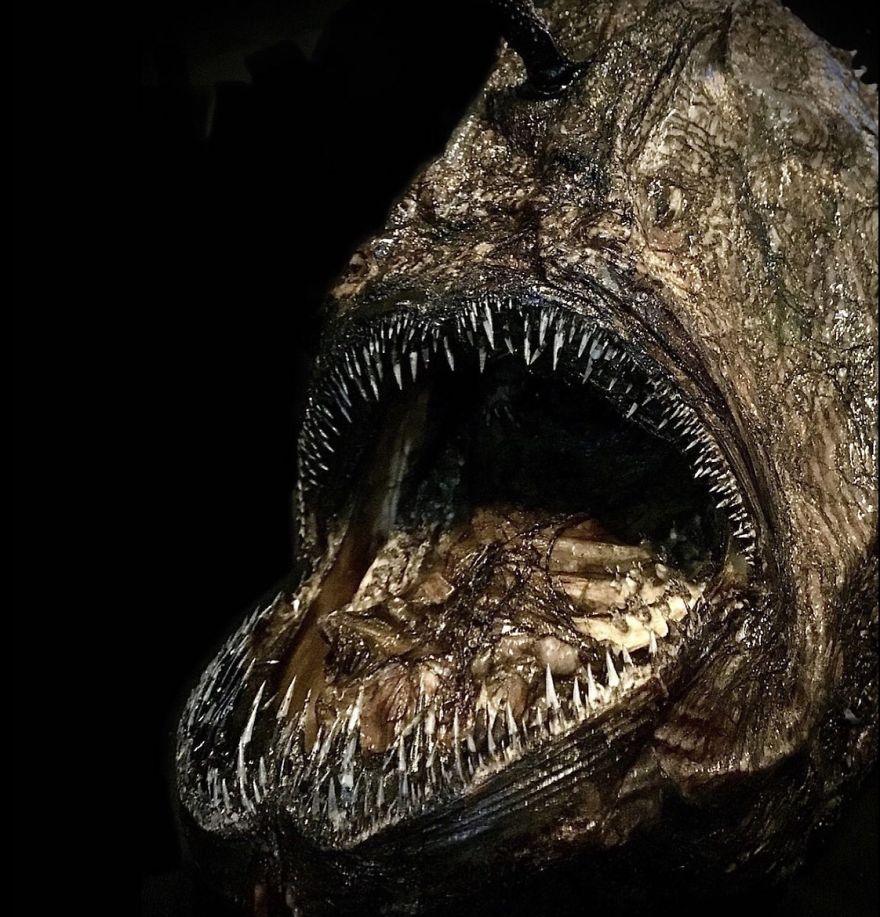 I Taxidermy Deep Sea Fish For Museums I Taxidermy Deep Sea Fish For Museums