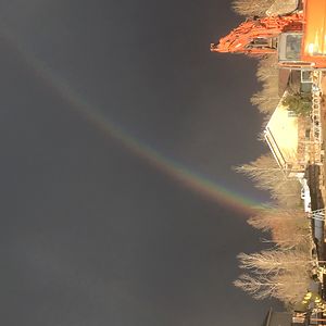 shaylynnebronson avatar