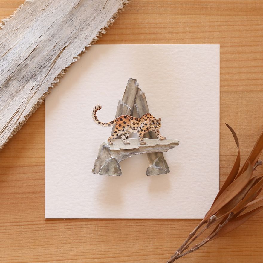 We Made An Alphabet Out Of Endangered Wildlife Species (34 Pics)