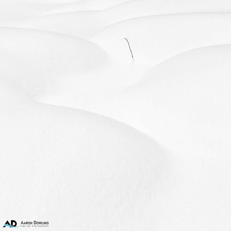 Isolation In Nature (Reflecting Our Lives Today) Isolation In Nature (Reflecting Our Lives Today)