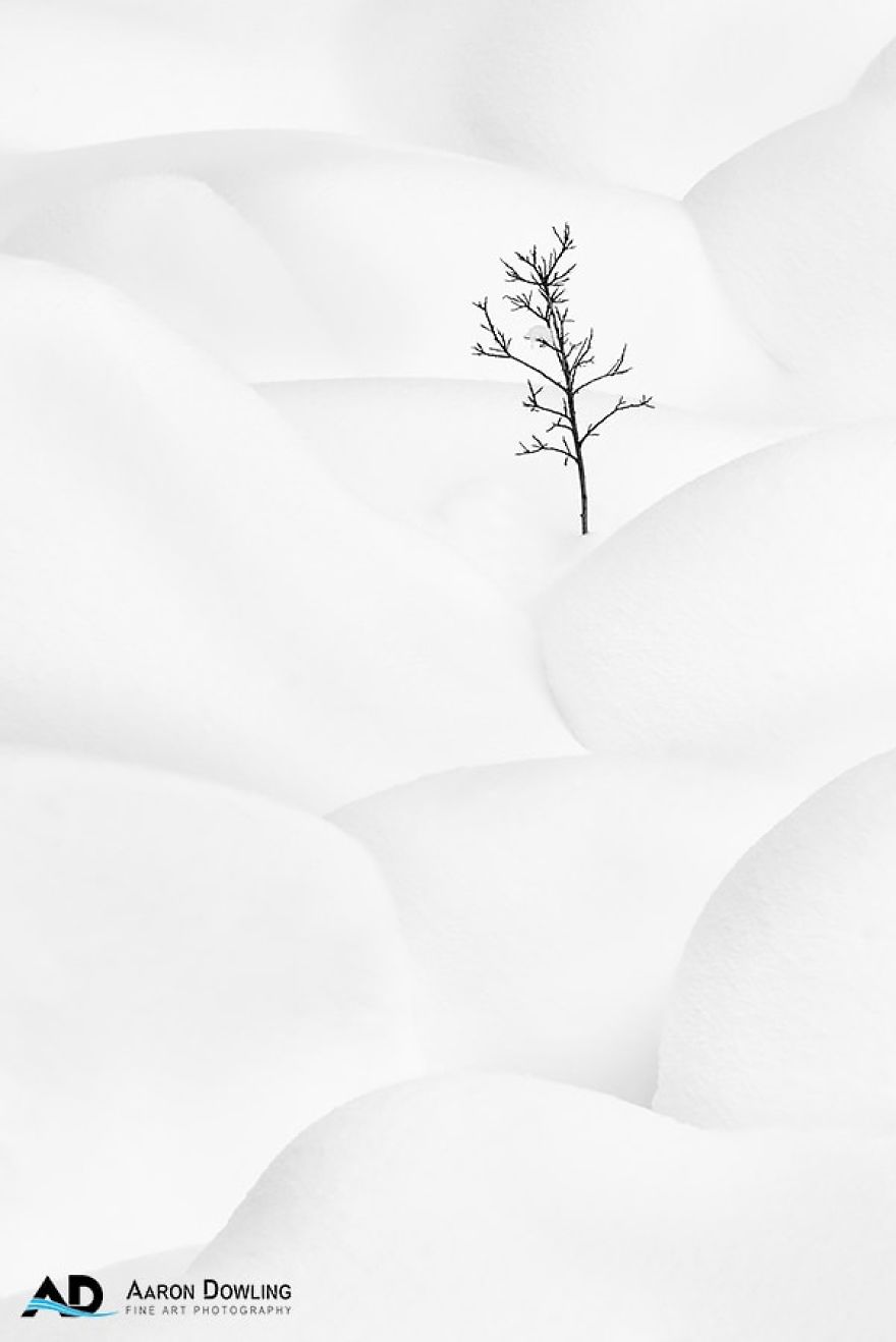 Isolation In Nature (Reflecting Our Lives Today) Isolation In Nature (Reflecting Our Lives Today)