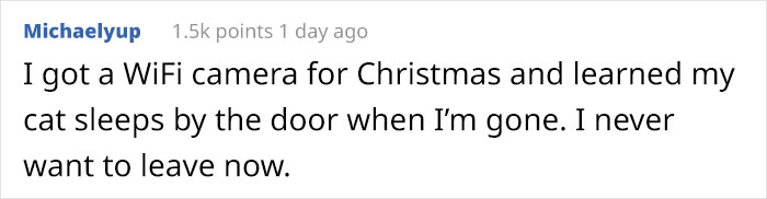 &ldquo;Left My Cat Alone With A Camera For 30 Minutes And Now I Can Never Leave Again&rdquo;