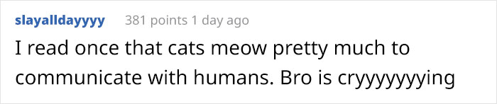 “Left My Cat Alone With A Camera For 30 Minutes And Now I Can Never Leave Again” “Left My Cat Alone With A Camera For 30 Minutes And Now I Can Never Leave Again”