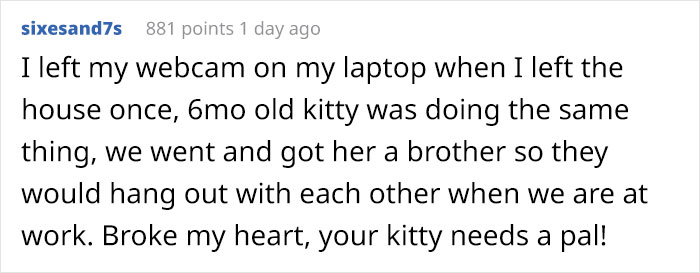 “Left My Cat Alone With A Camera For 30 Minutes And Now I Can Never Leave Again” “Left My Cat Alone With A Camera For 30 Minutes And Now I Can Never Leave Again”