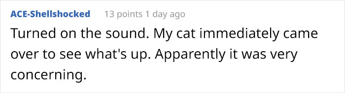 “Left My Cat Alone With A Camera For 30 Minutes And Now I Can Never Leave Again” “Left My Cat Alone With A Camera For 30 Minutes And Now I Can Never Leave Again”