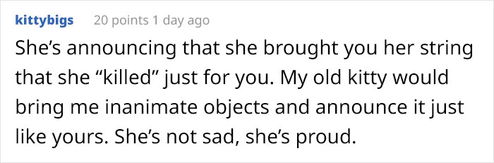 “Left My Cat Alone With A Camera For 30 Minutes And Now I Can Never Leave Again” “Left My Cat Alone With A Camera For 30 Minutes And Now I Can Never Leave Again”