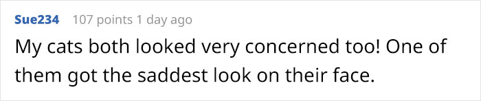 &ldquo;Left My Cat Alone With A Camera For 30 Minutes And Now I Can Never Leave Again&rdquo;