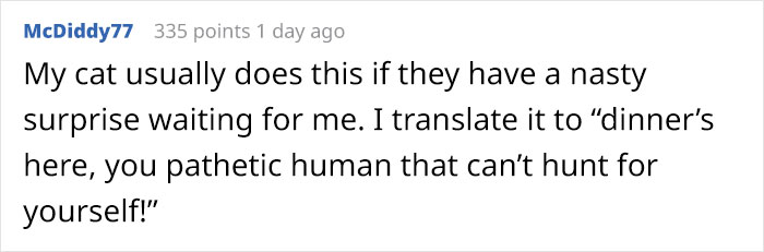 “Left My Cat Alone With A Camera For 30 Minutes And Now I Can Never Leave Again” “Left My Cat Alone With A Camera For 30 Minutes And Now I Can Never Leave Again”