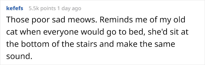 &ldquo;Left My Cat Alone With A Camera For 30 Minutes And Now I Can Never Leave Again&rdquo;