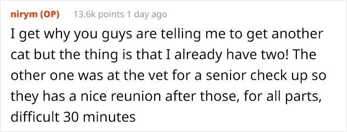 “Left My Cat Alone With A Camera For 30 Minutes And Now I Can Never Leave Again” “Left My Cat Alone With A Camera For 30 Minutes And Now I Can Never Leave Again”