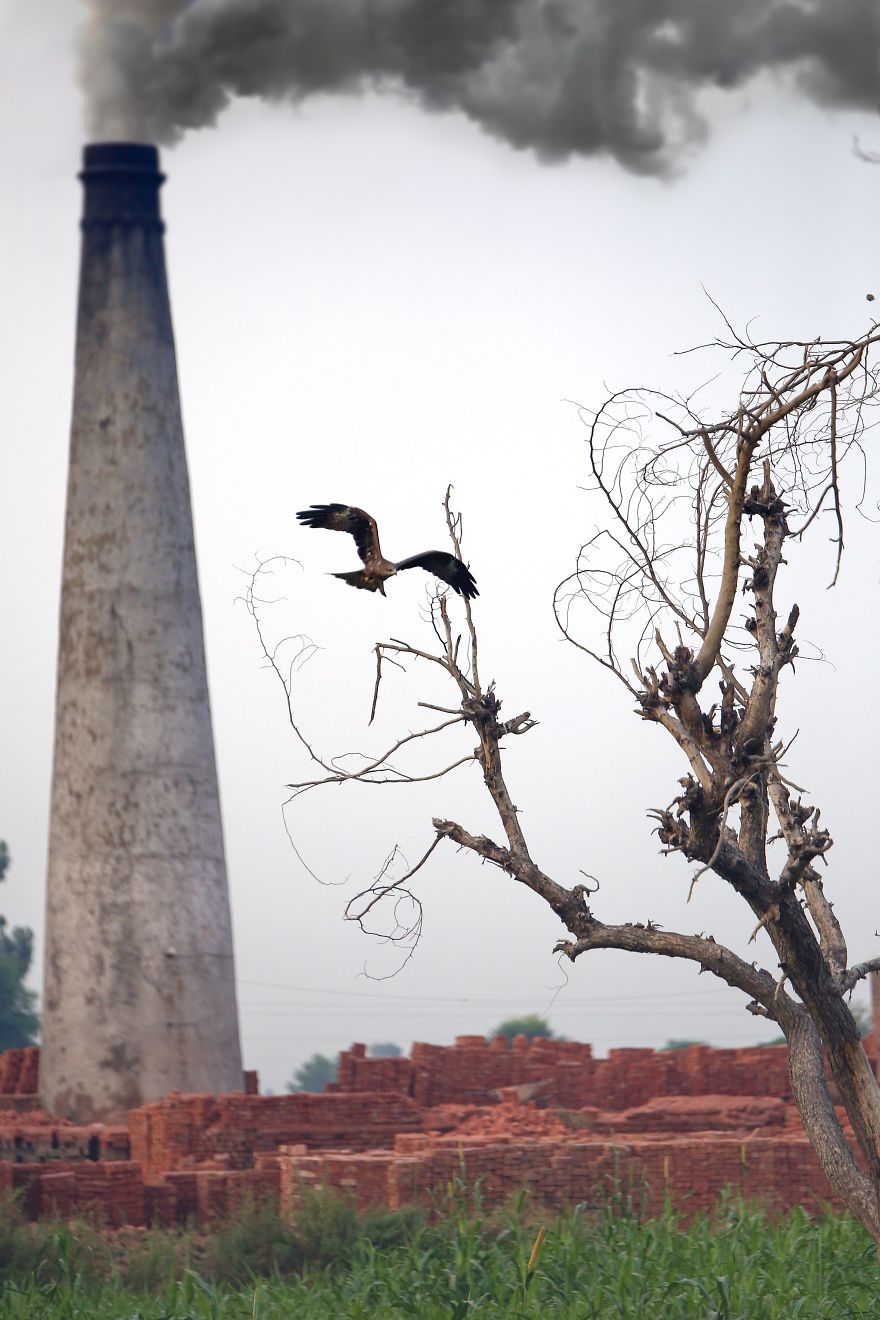 A Big Change In Nature