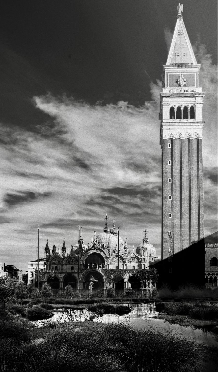 "Beyond": My Take On What The World Will Look Like If Quarantine Doesn't End