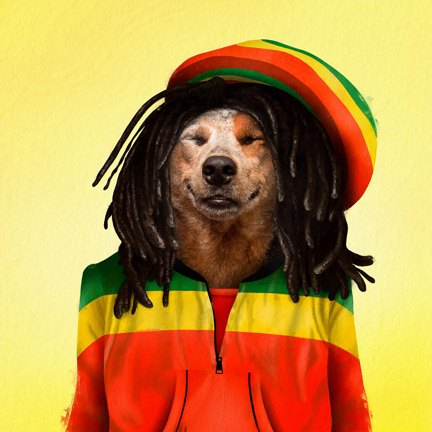 Dog Marley