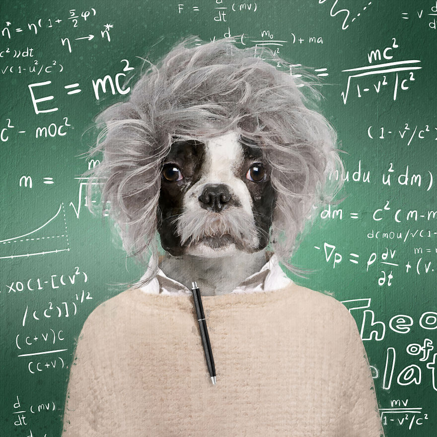 Albark Einstein