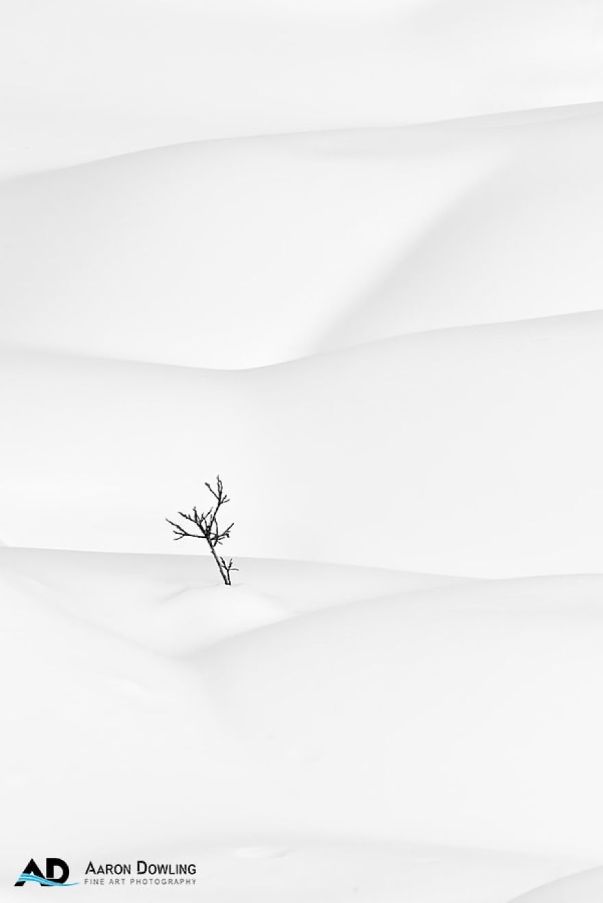 Isolation In Nature (Reflecting Our Lives Today) Isolation In Nature (Reflecting Our Lives Today)