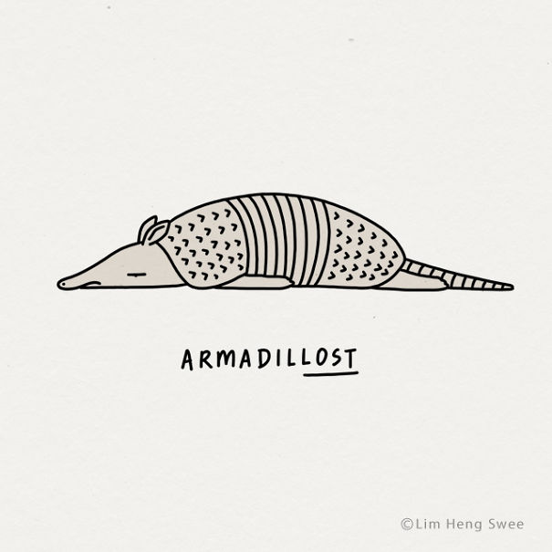 Armadillo