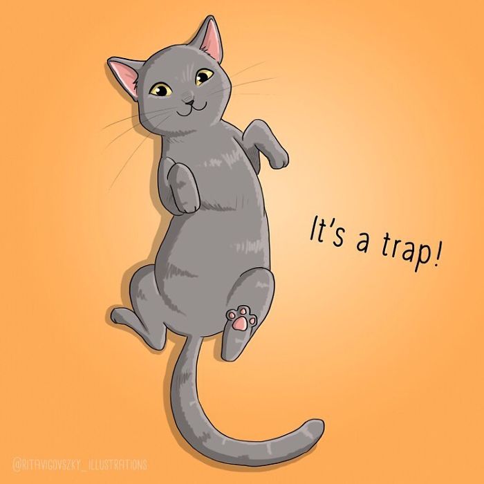 Artist Illustrates His Everyday Life With His Cats And Shows That They Are More Than Companions