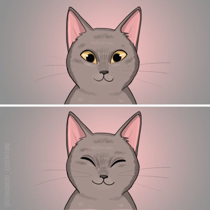 Artist Illustrates His Everyday Life With His Cats And Shows That They Are More Than Companions