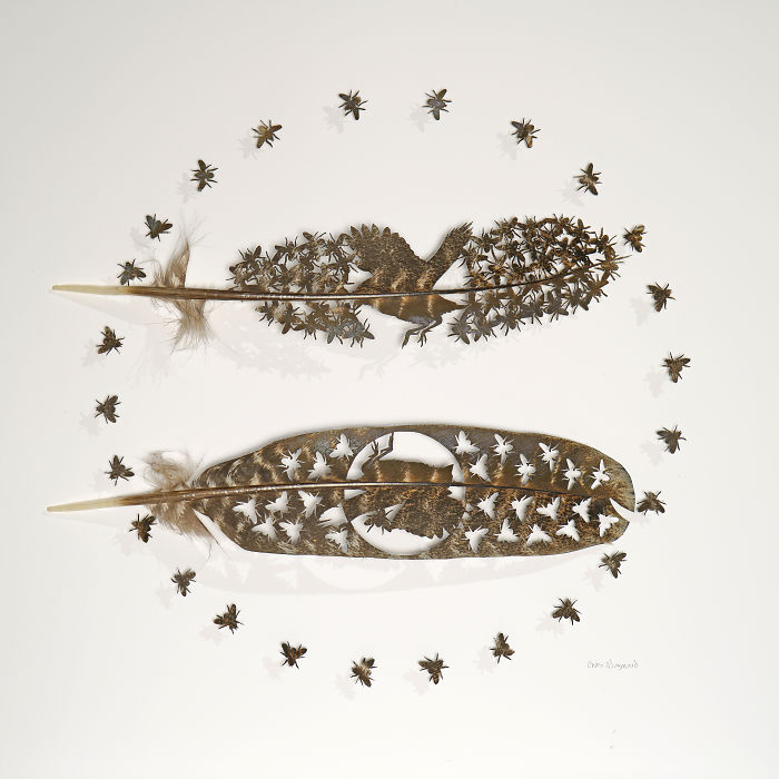 Chris Maynard At Featherfolio Returns With More Feather Carvings