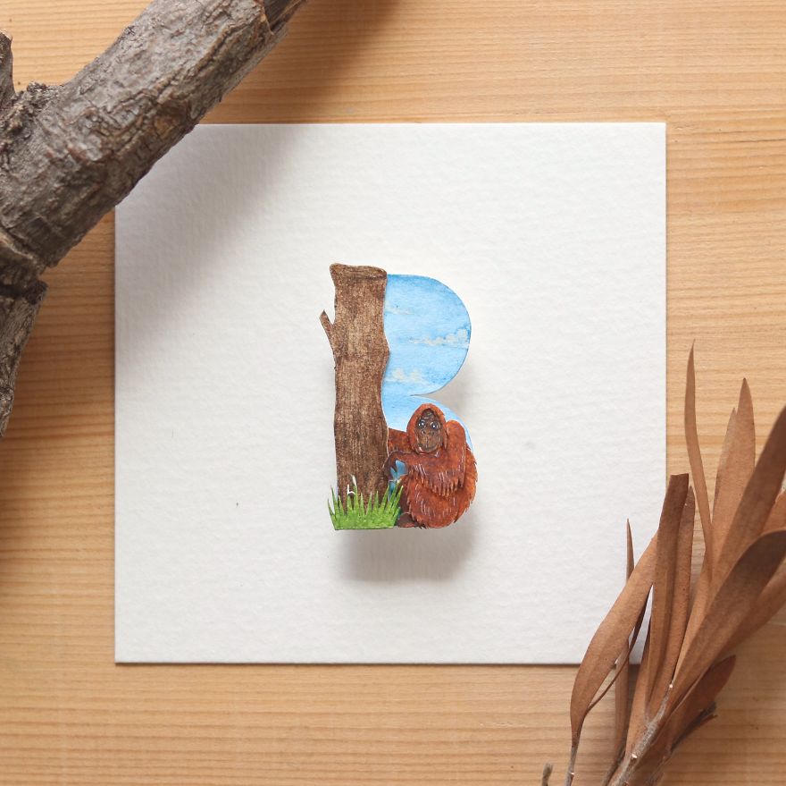 We Made An Alphabet Out Of Endangered Wildlife Species (34 Pics)