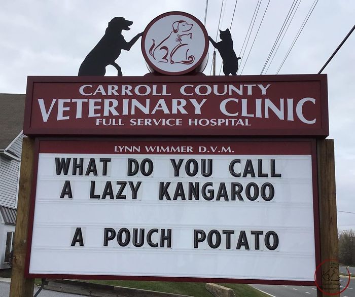 Funny-Carroll-County-Veterinary-Clinic-Signs