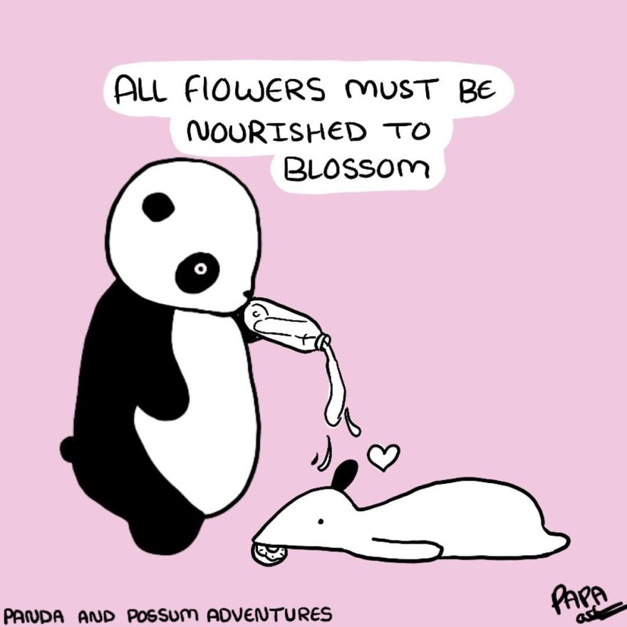 Panda And Possum Adventures- Webcomic