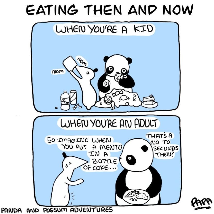 Panda And Possum Adventures- Webcomic