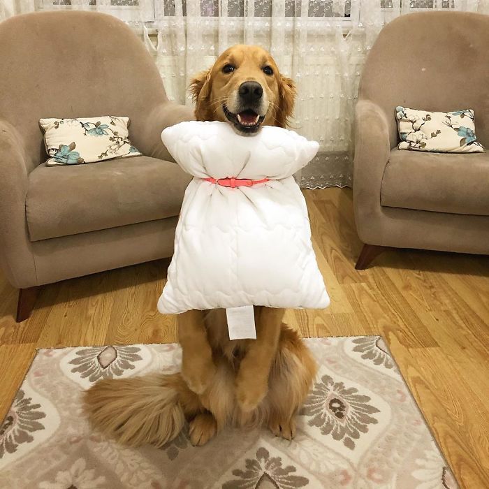 The Girls In This Quarantine Are Replacing Their Clothes With Pillows In A Flash Mob On Instagram