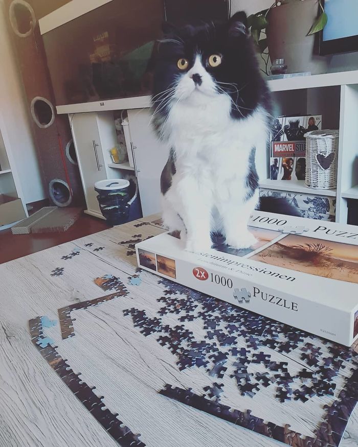 I Broke It. Sorry Mommy