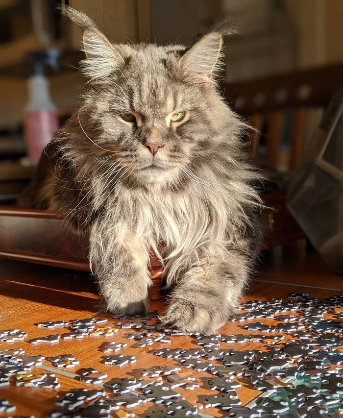 Don't Worry Mom, I Got This