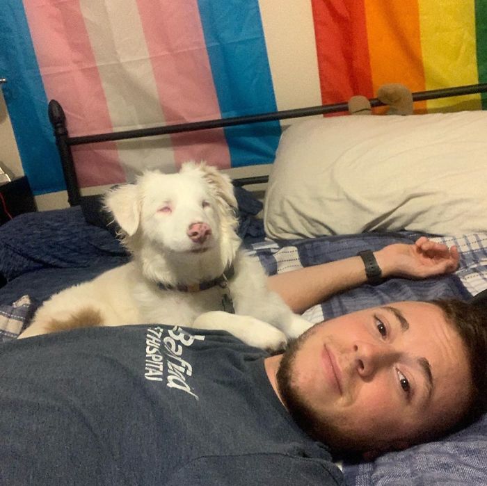 Guy Shows How He Wakes Up His Blind And Deaf Dog Without Scaring Her, Receives Almost 13 Million Likes Guy Shows How He Wakes Up His Blind And Deaf Dog Without Scaring Her, Receives Almost 13 Million Likes