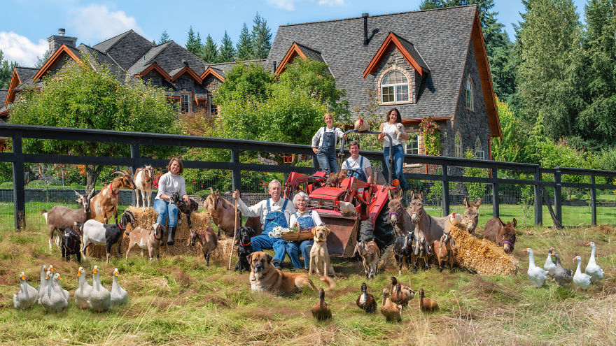 I Photograph Full Farm Portraits! I Photograph Full Farm Portraits!