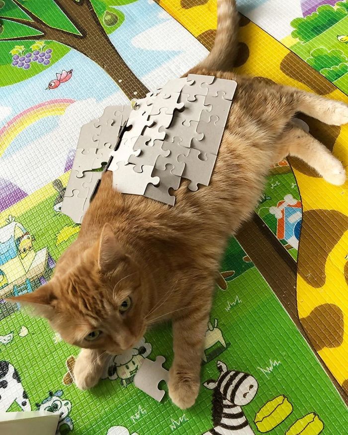 Saturday. 6 AM. Perfect Time To Learn How To Make A Puzzle