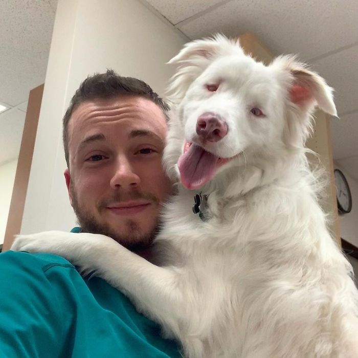 Guy Shows How He Wakes Up His Blind And Deaf Dog Without Scaring Her, Receives Almost 13 Million Likes