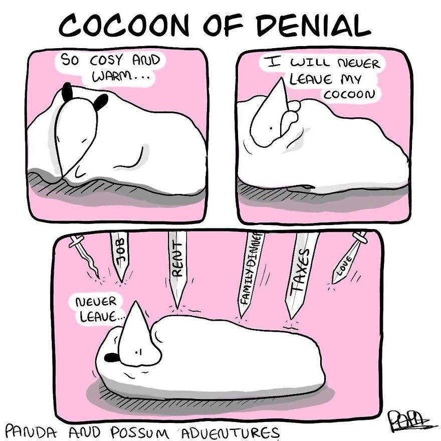 Panda And Possum Adventures- Webcomic