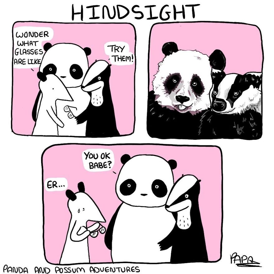 Panda And Possum Adventures- Webcomic